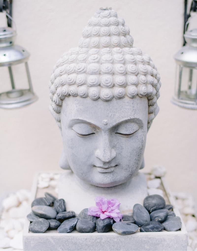 About Luna Rose Skin - single flower beneath statue head 